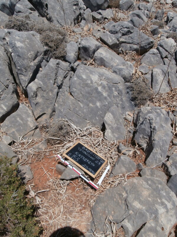 E153 - Image 2