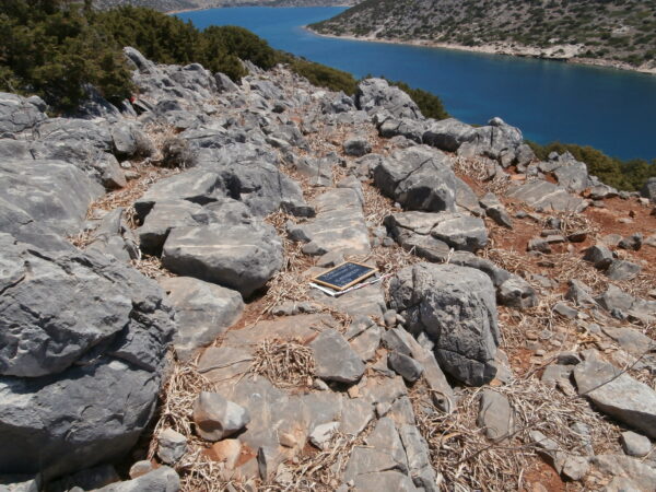 E154 - Image 2