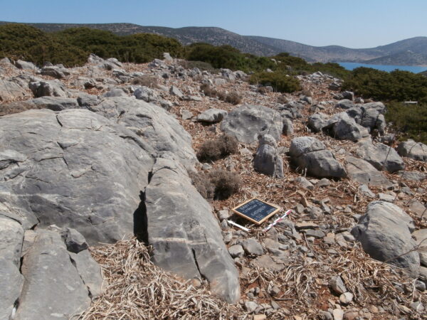 E148 - Image 2