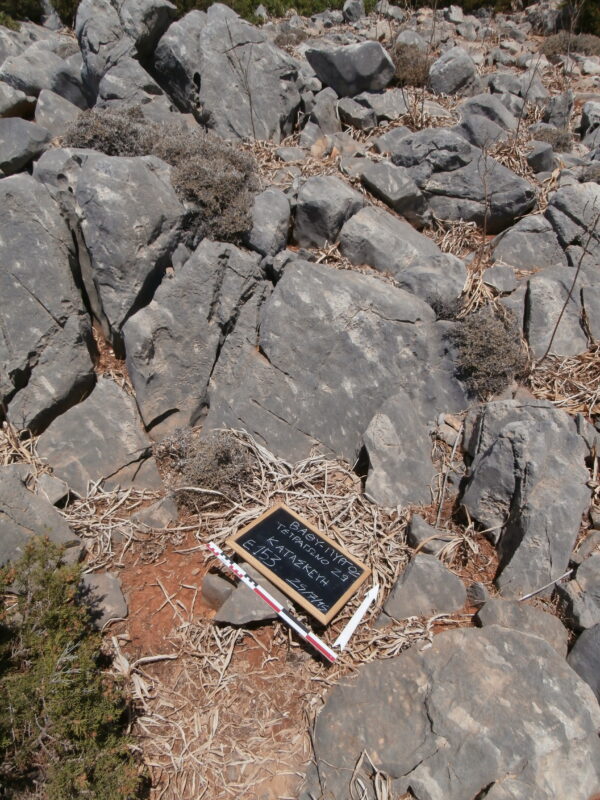 E153 - Image 3