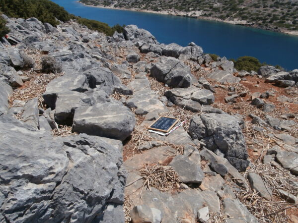 E154 - Image 3