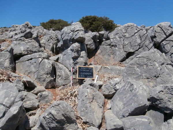 E155 - Image 3