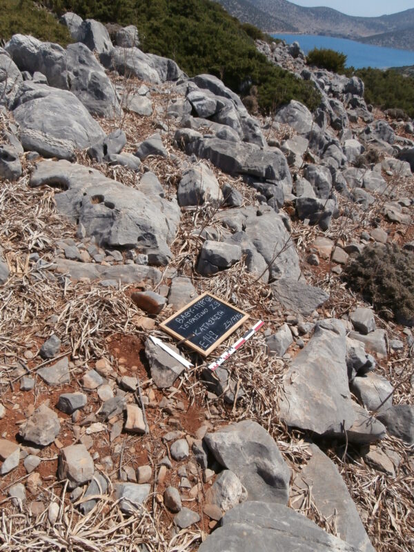 E149 - Image 3