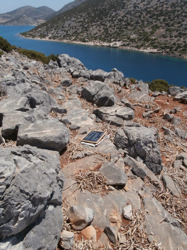 E154 - Image 4