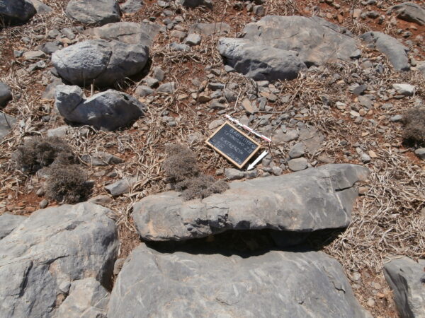 E148 - Image 3