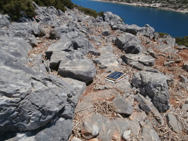E154 - Image 5