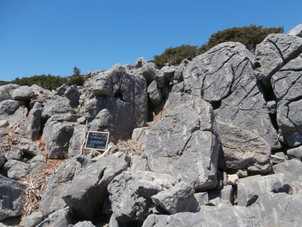 E155 - Image 5