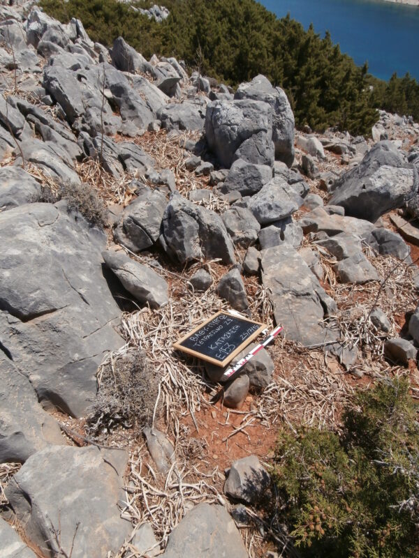 E153 - Image 5