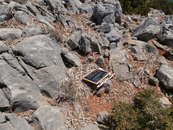 E153 - Image 6