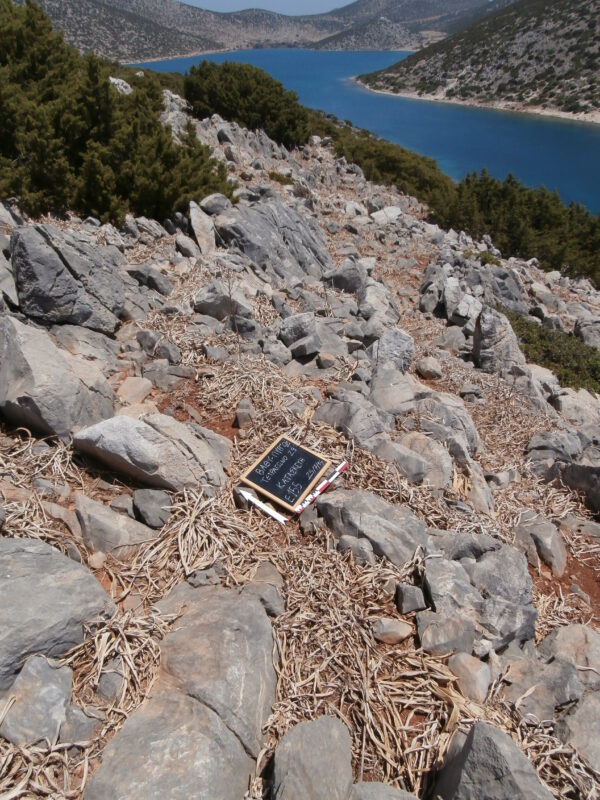 E155 - Image 8