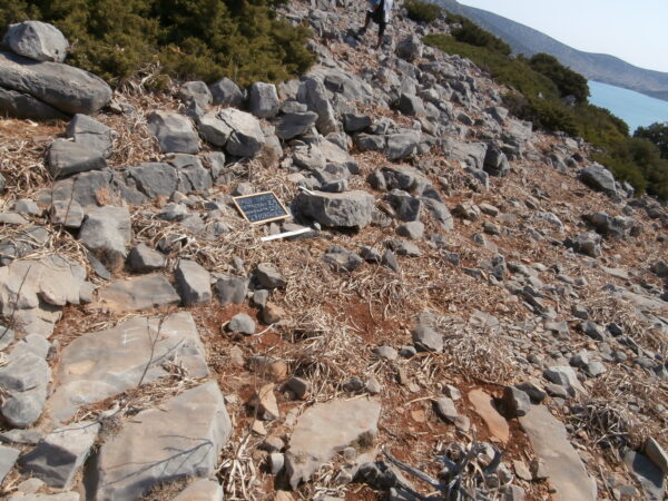 E159 - Image 2