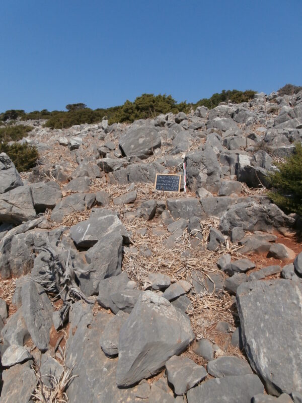 E160 - Image 2