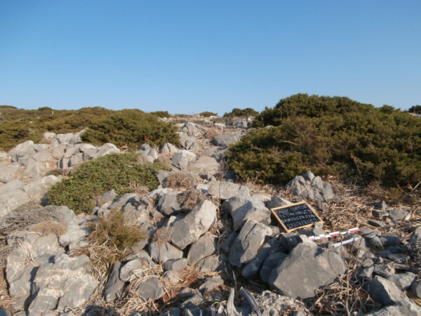 E156 - Image 2