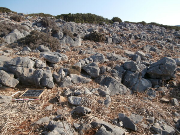 E158 - Image 2