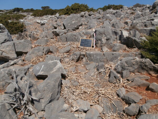 E160 - Image 3