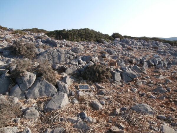 E157 - Image 2