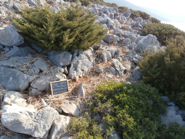 E157 - Image 3