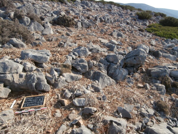 E158 - Image 3