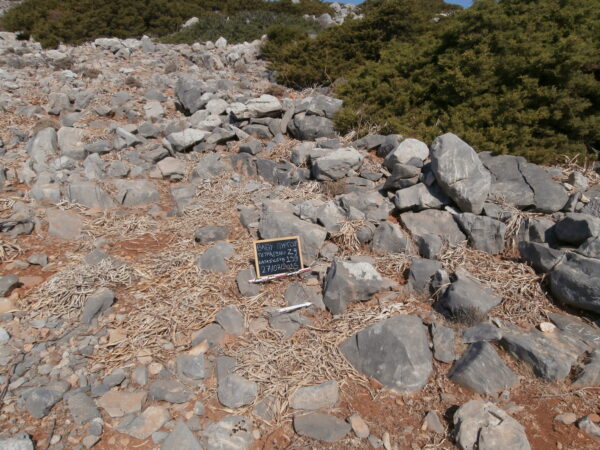 E159 - Image 3