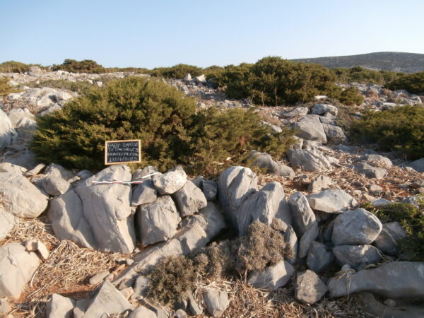 E156 - Image 3