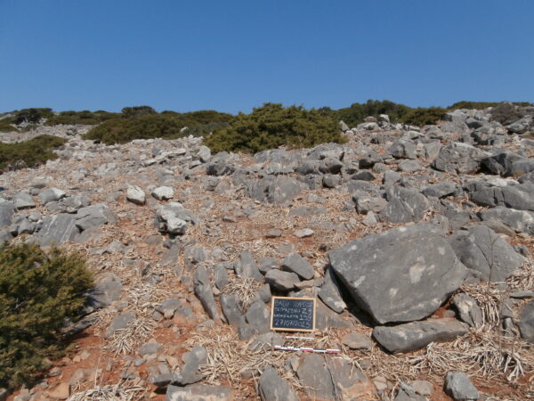 E159 - Image 5