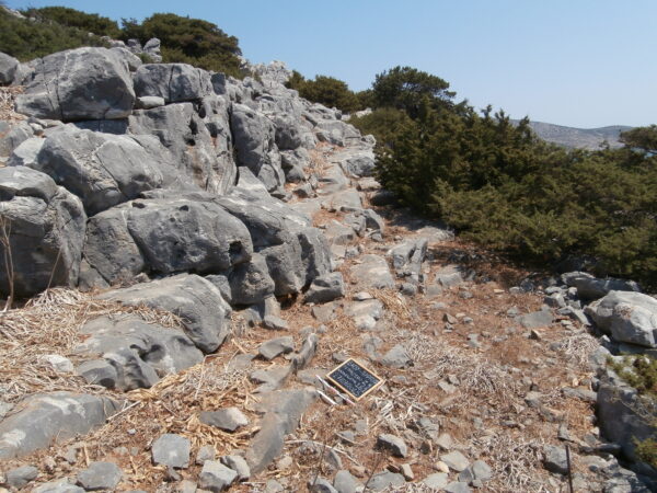 E161 - Image 2