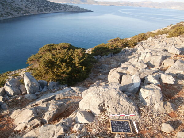 E161 - Image 3