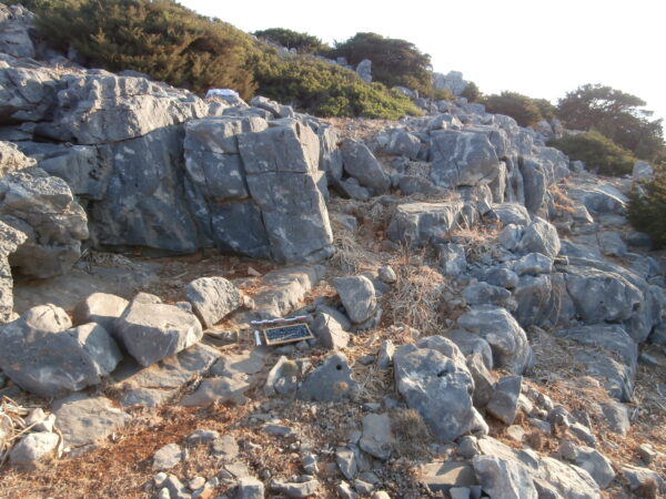 E161 - Image 5