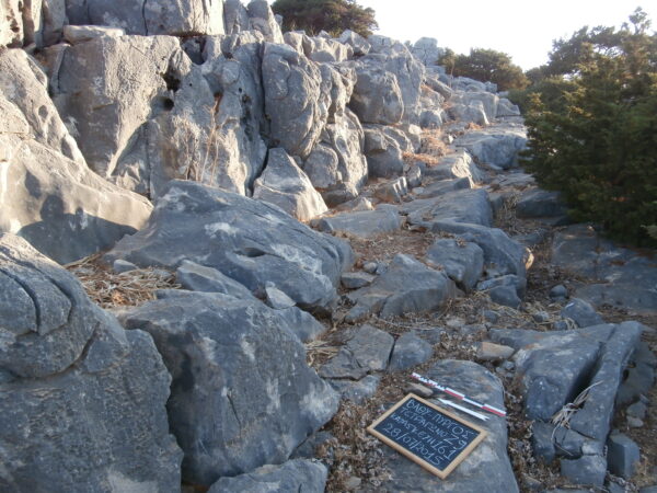 E161 - Image 6