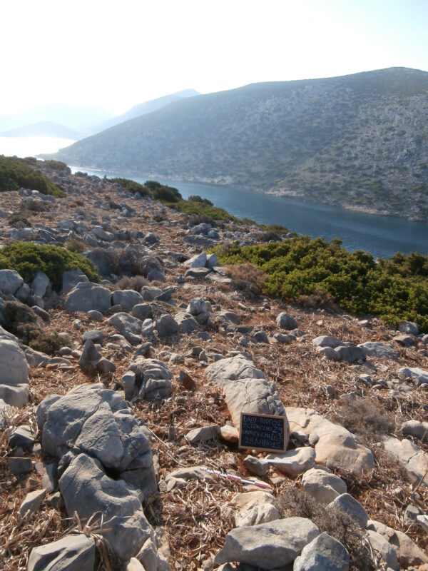 E163 - Image 2