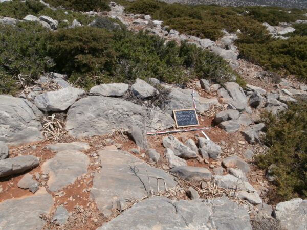 E162 - Image 2