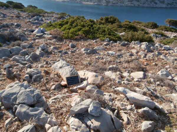 E163 - Image 3