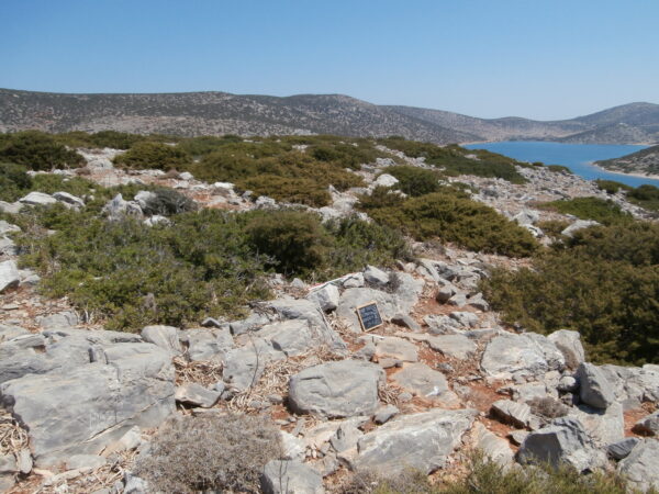 E162 - Image 3