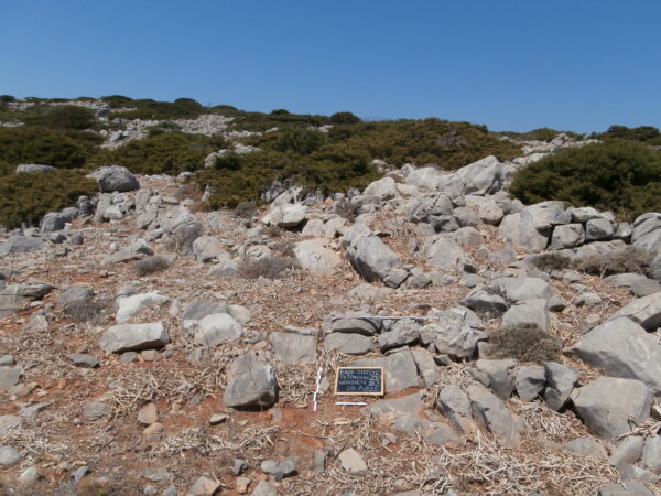 E163 - Image 5