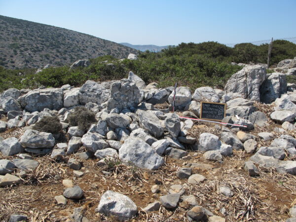 E164 - Image 2