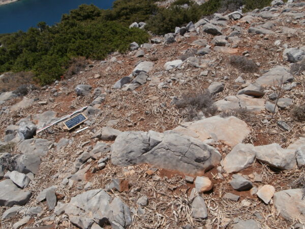 E163 - Image 7