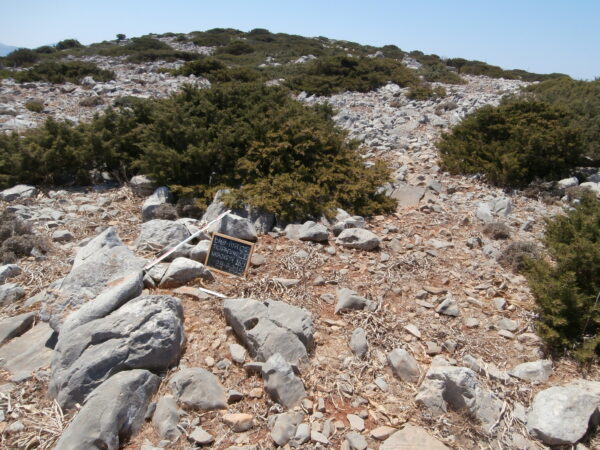 E169 - Image 2