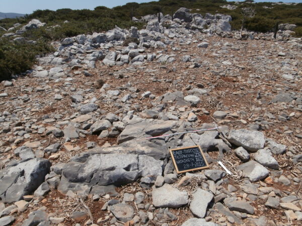 E165 - Image 2
