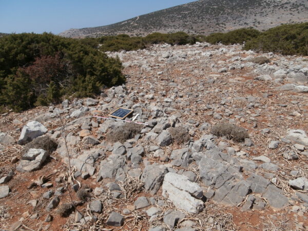 E170 - Image 3