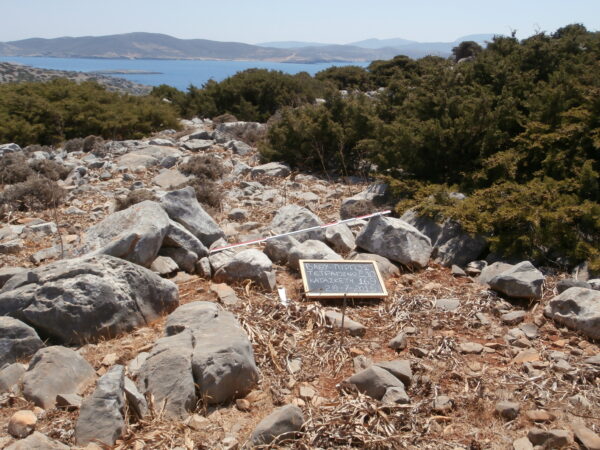 E169 - Image 3