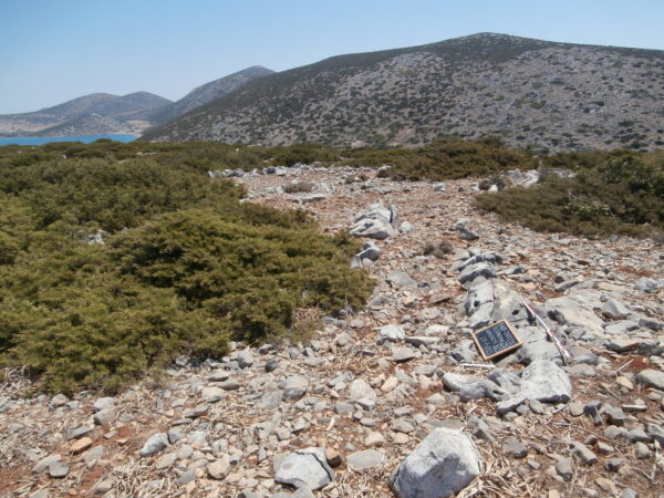 E165 - Image 4