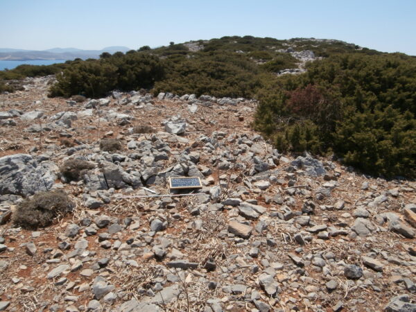 E170 - Image 5