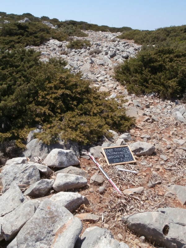 E169 - Image 4