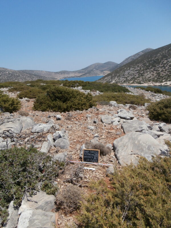 E167 - Image 2