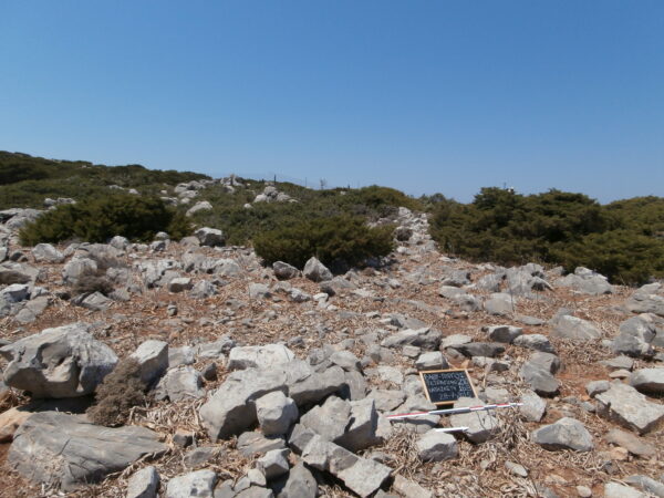 E168 - Image 2