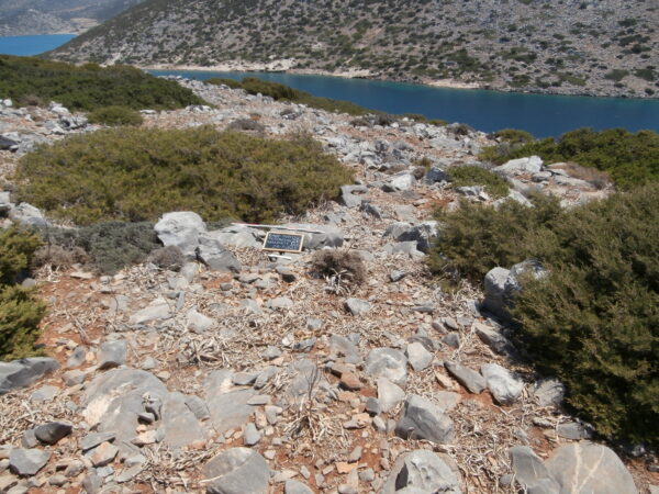 E166 - Image 2