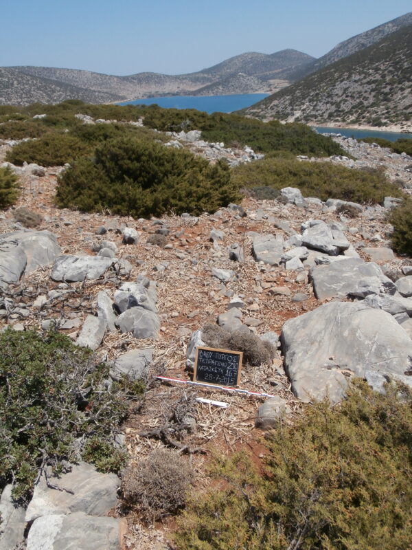 E167 - Image 3