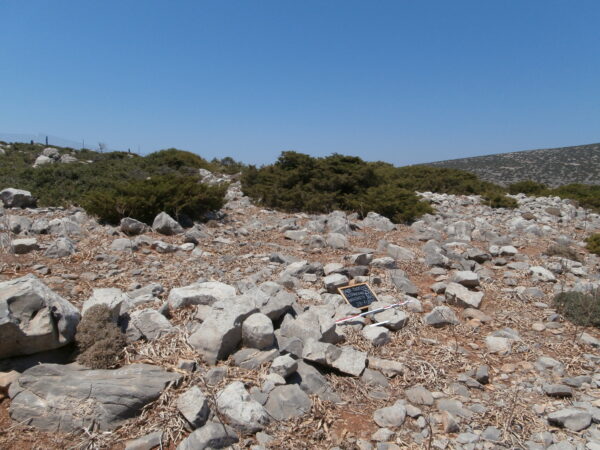 E168 - Image 3