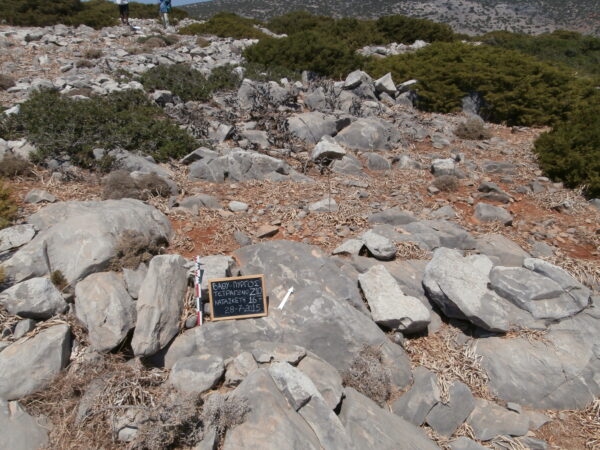 E167 - Image 4