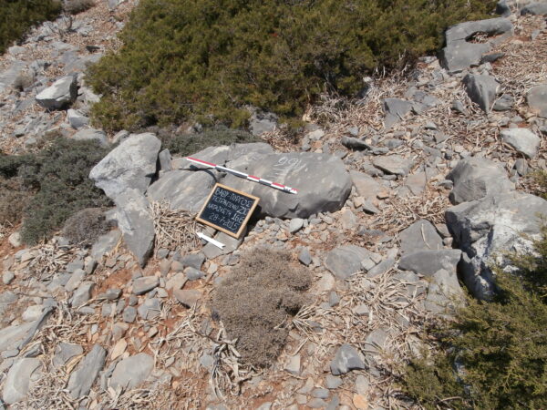 E166 - Image 4